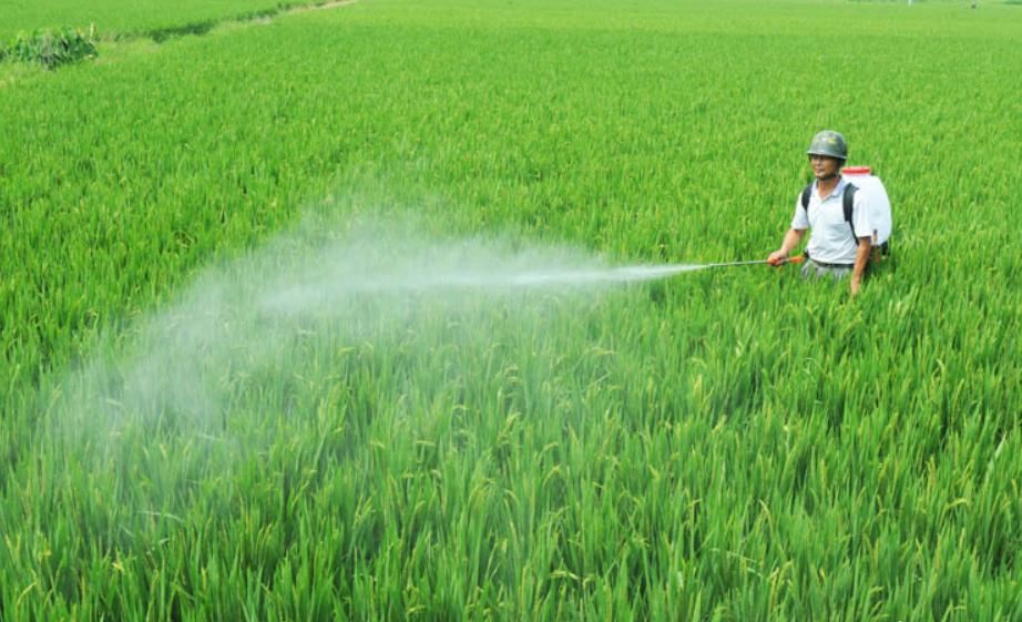 農藥，是指農業上用于防治病蟲害及調節植物生長的化學藥劑。